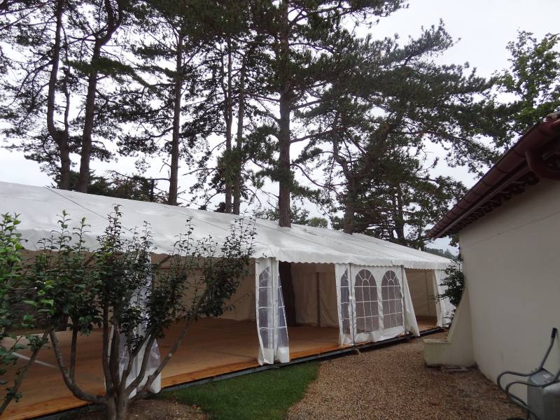 J'ai un grand espace pour mettre un chapiteau mais il y a un arbre au milieu qui géne